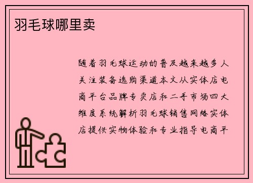 羽毛球哪里卖